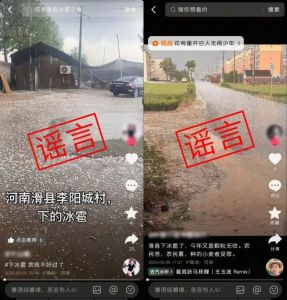 河南滑县冰雹致小麦绝收系谣言！