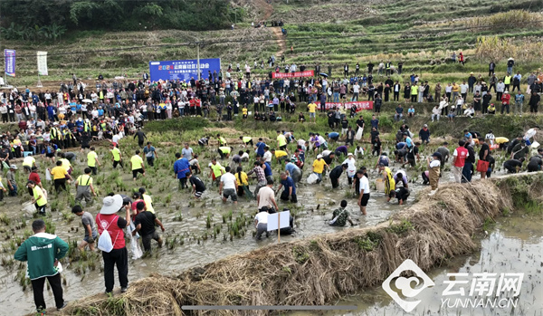 领略乡村新活力，玉溪元江这场乡村体育节有看头
